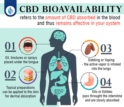 CBD Bioavailability: What is it and why does it matter?